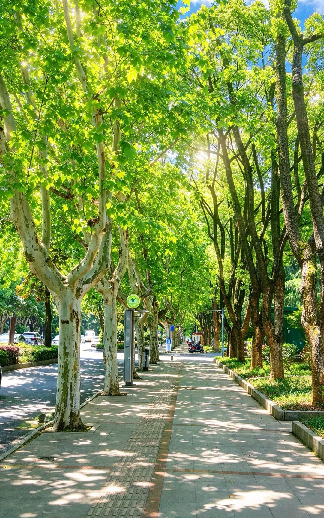 穿行一城街巷 邂逅娄星万般风采