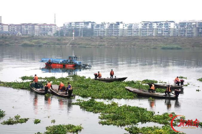 “十年治水润三湘”②丨碧水安澜耀雁城——衡阳市全面推行河长制十周年工作纪实