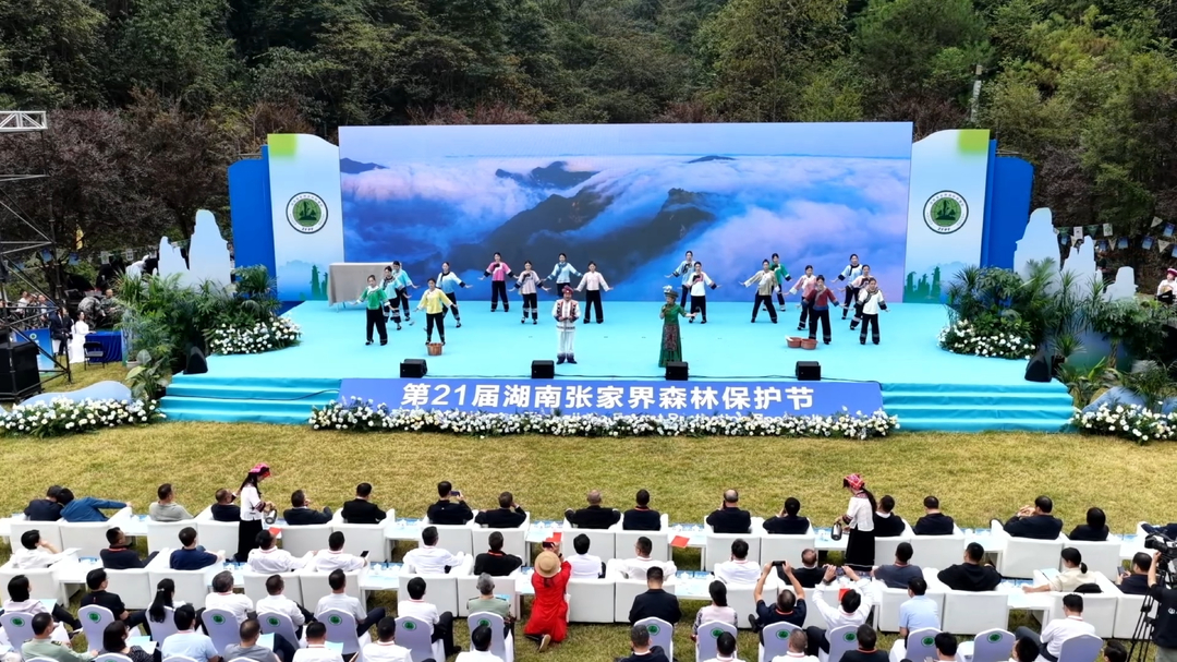 奋进桑植丨歌里画里桑植等你 文体旅融合高质量发展