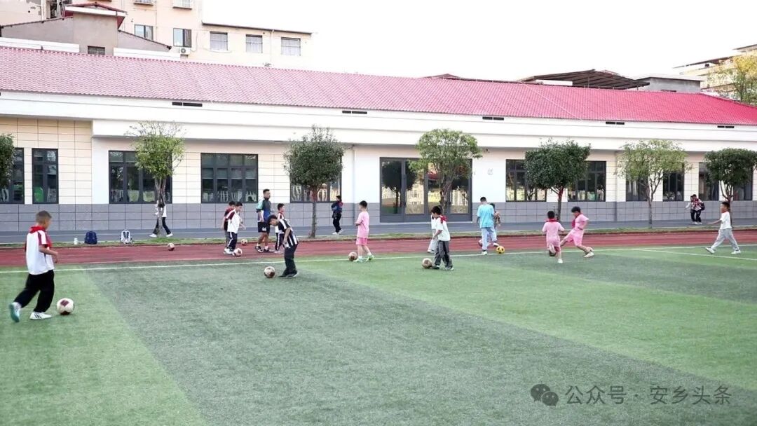 安乡:足下逐梦绿茵场 体教融合育少年