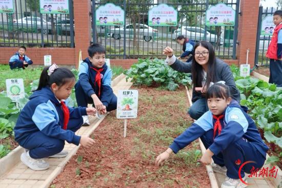 长沙市开福区湘一史家坡学校POPO拾光农圃开园,家校携手深耕劳育沃土