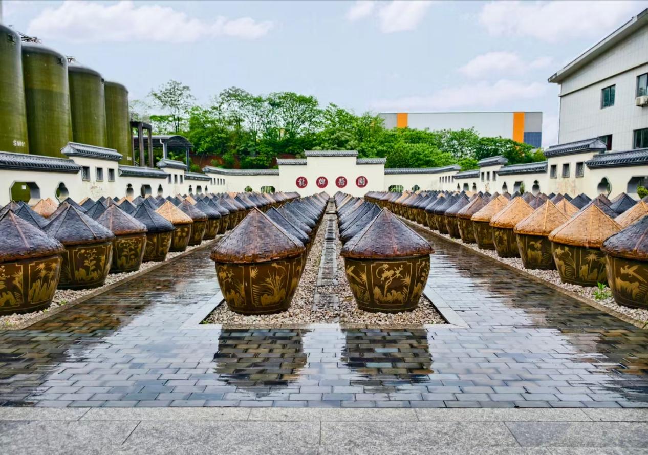 以行求知，以笔写心——长沙市一中云龙实验学校湖南日报全媒小记者这一年