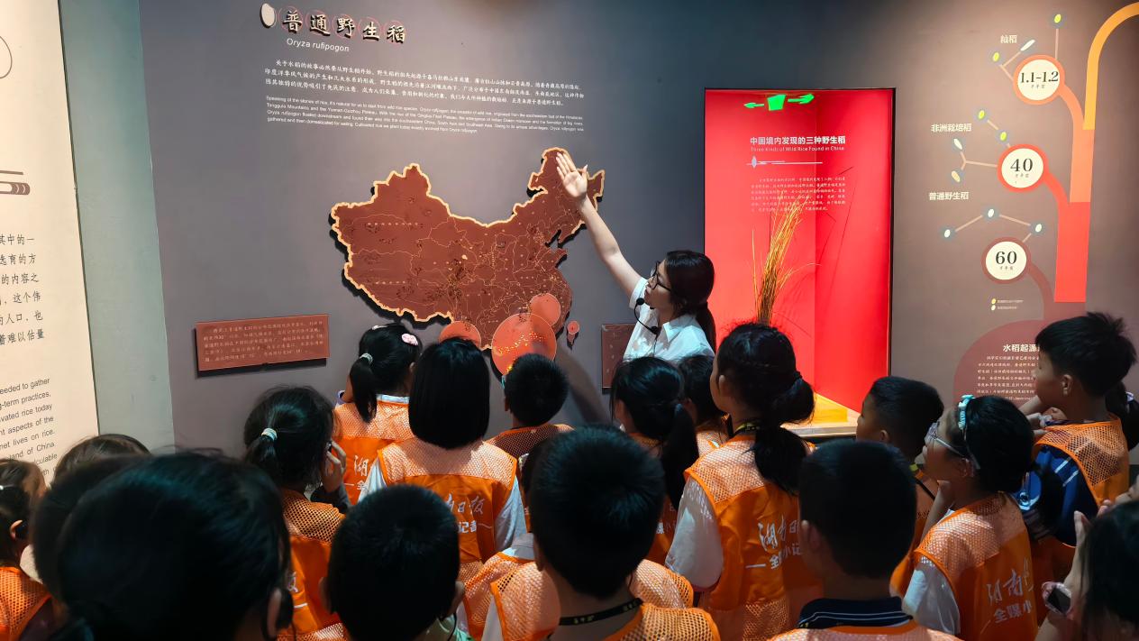 以行求知，以笔写心——长沙市一中云龙实验学校湖南日报全媒小记者这一年