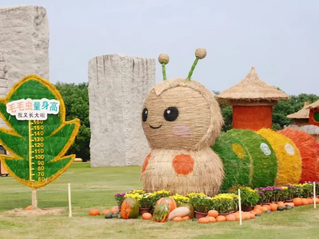跟着县BA游平江!10月23日起,6天快乐不打烊