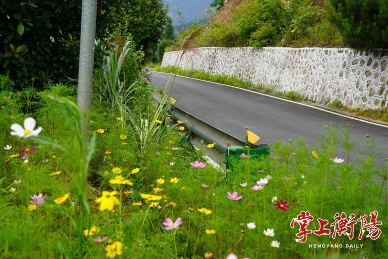 再添荣誉!祁东长腾公路上榜2026年“湖南省最美农村路”