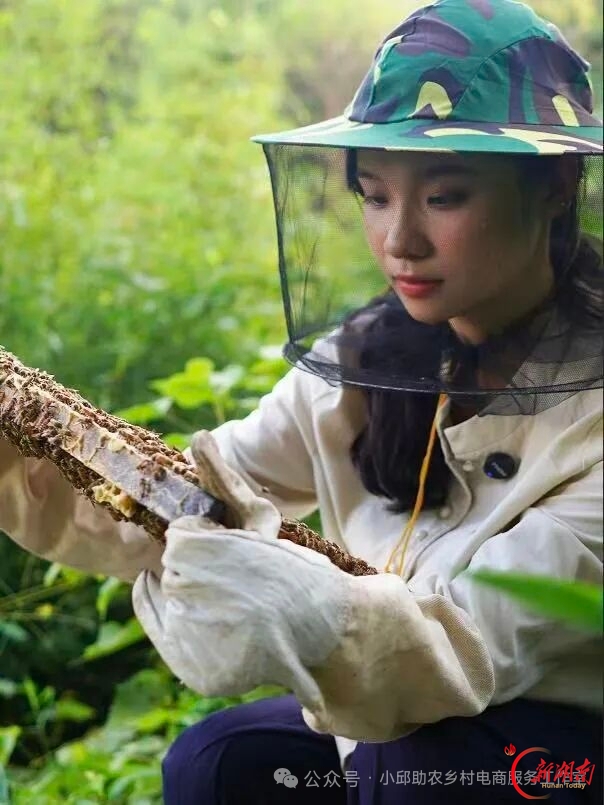 青春合伙人丨山野间的“酿蜜人”:00后袁榔希的蜂业振兴路