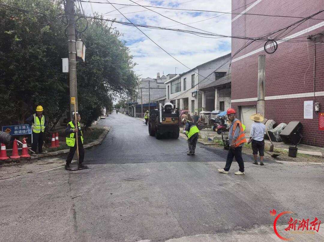 湘潭市东坪街道:深耕党员教育沃土 激活基层治理活水