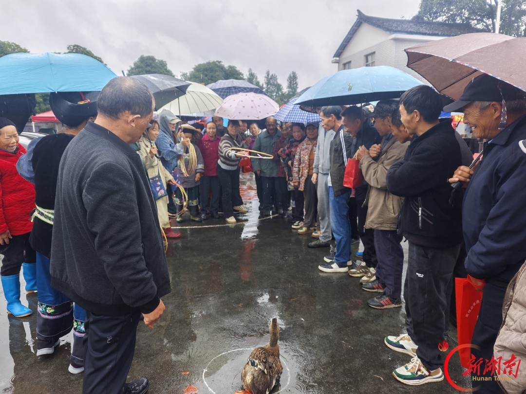 一场重阳宴,浓浓乡邻情!花垣县双龙村开展重阳敬老系列活动