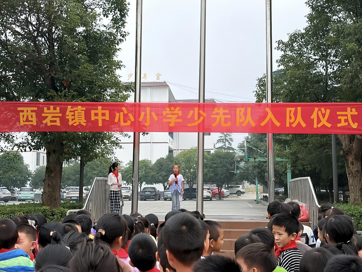 青春向党七十载 奋楫扬帆向未来——城步苗族自治县共青团事业发展综述