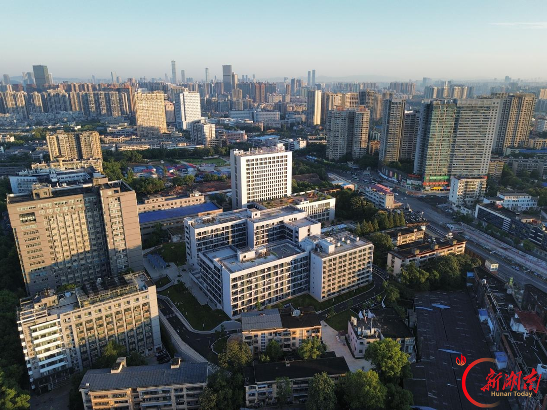 “像给自己的孩子盖宿舍”！中南林废弃地块“长”出近2000个床位