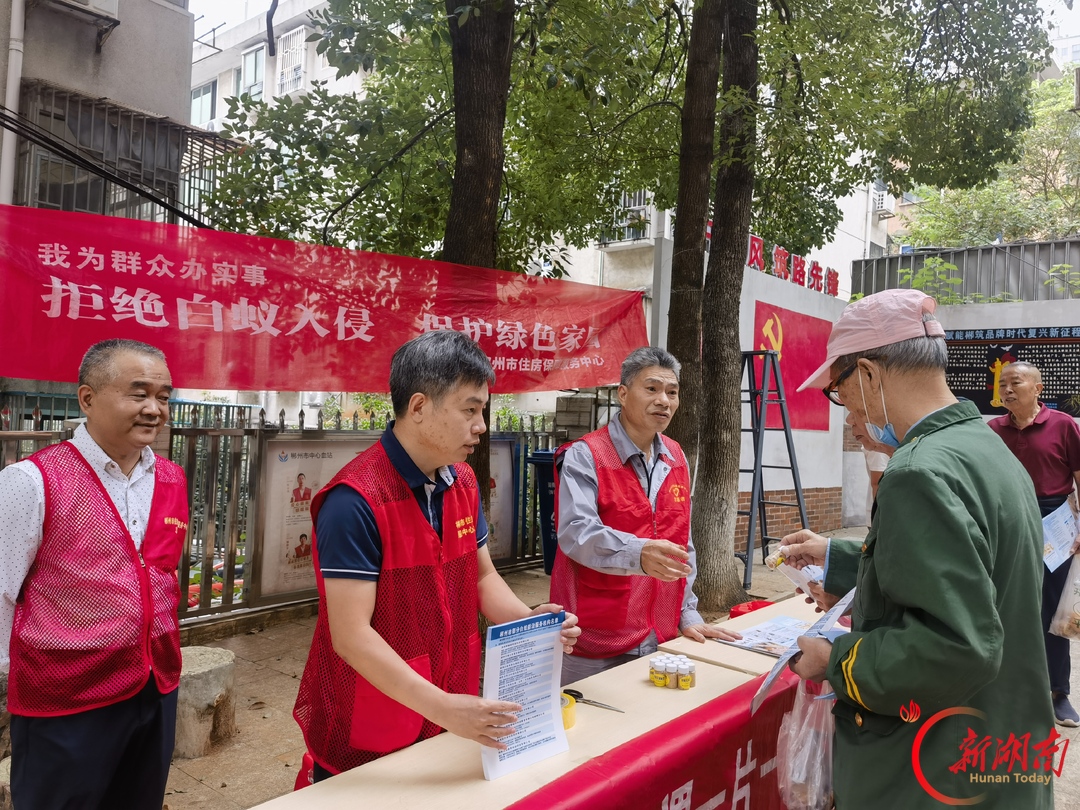 郴州市北湖区东风社区:办实事除隐患 白蚁消杀护家园