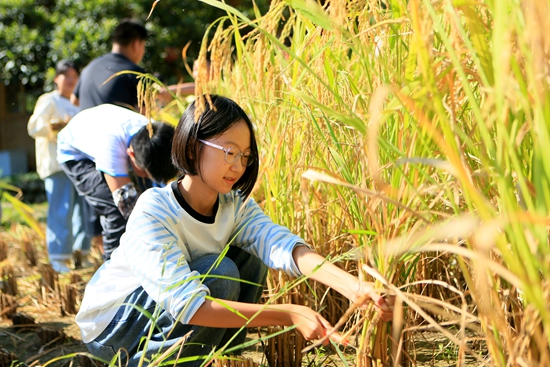 峰林蝶变五春秋，山水扬帆向一流——武陵源建设世界一流旅游目的地纪实
