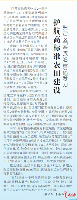 永定区“查改治”贯通发力护航高标准农田建设@湖南日报