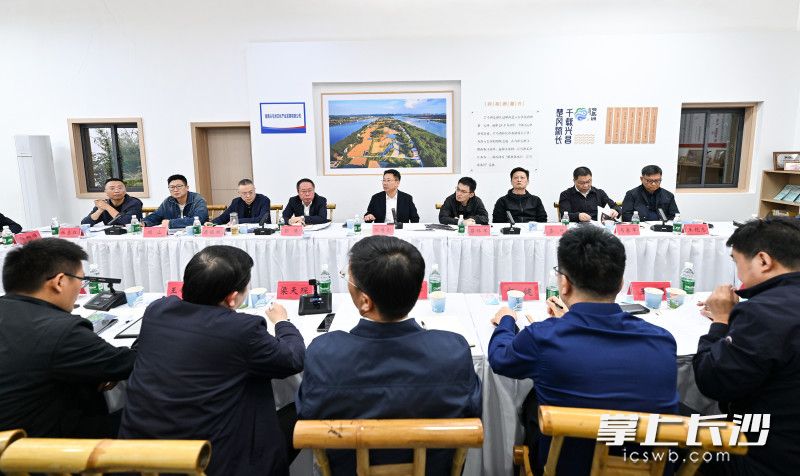 陈博彰调研洲岛保护利用及高质量发展工作