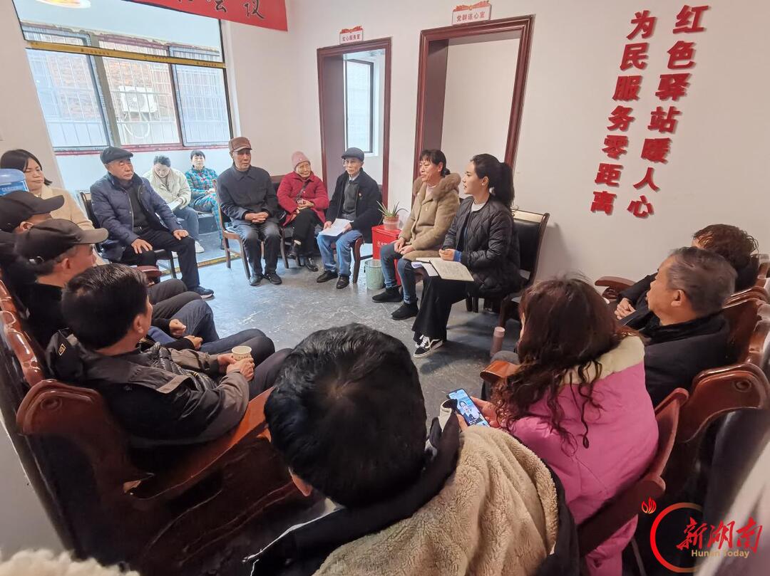 湘潭市东坪街道:深耕党员教育沃土 激活基层治理活水