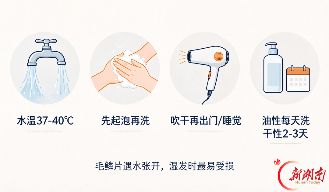 头发是早上洗还是晚上洗好?这些伤发行为,真的别再做了→