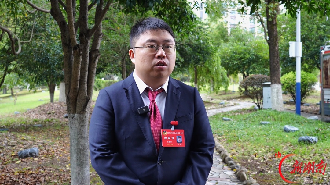 【砥砺奋进“鹤”启程——鹤城区两会报道】描绘新蓝图 共话新发展 区人大代表、区政协委员热议政府工作报告