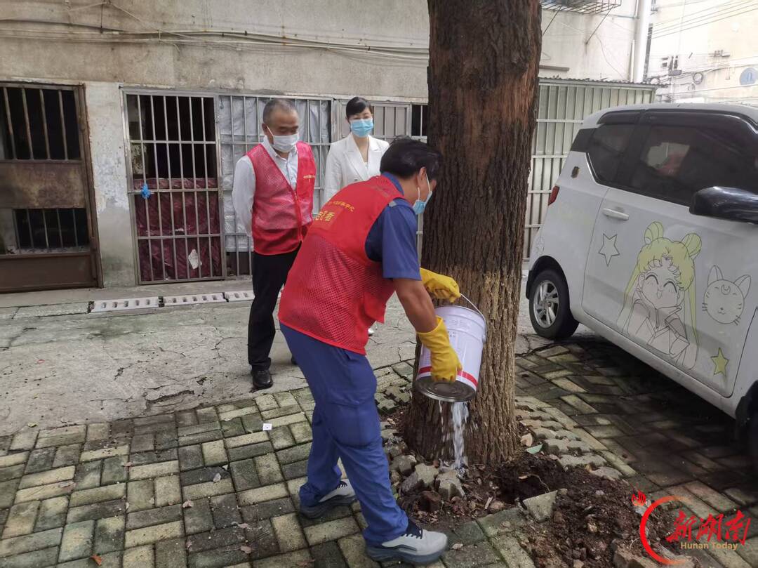 郴州市北湖区东风社区:办实事除隐患 白蚁消杀护家园