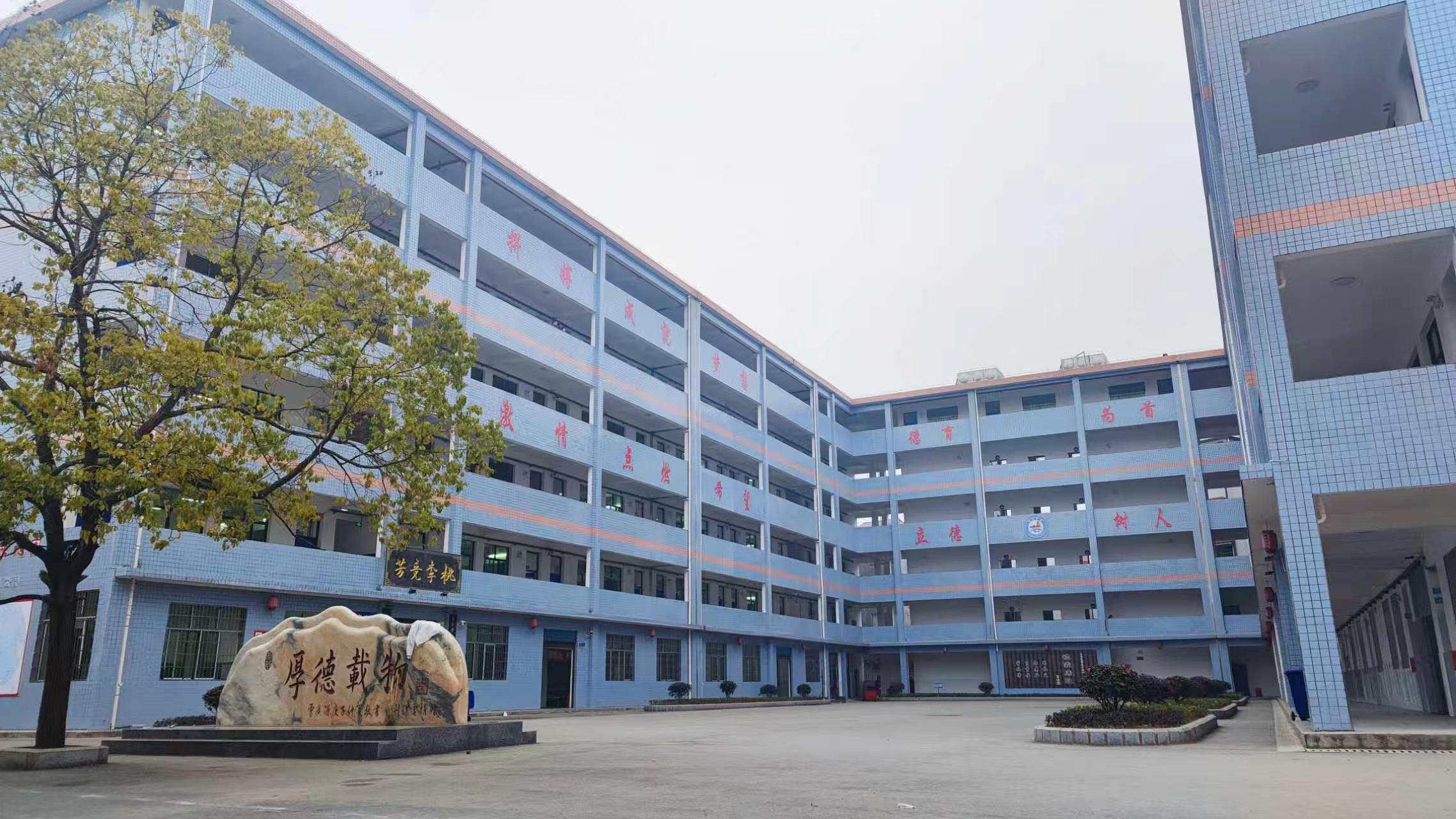深耕乡土育桃李 笃行提质启新程——洞口县高沙镇中心学校乡村教育高质量发展实践之路 | 湖南日报