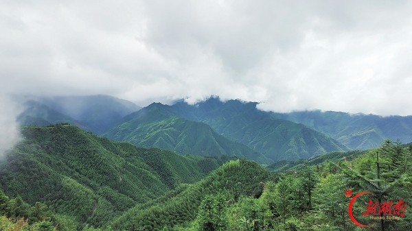 永不湮灭的星火——探寻“绝命后卫师”的血色终章