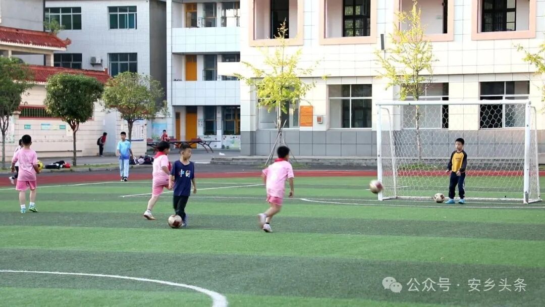 安乡:足下逐梦绿茵场 体教融合育少年
