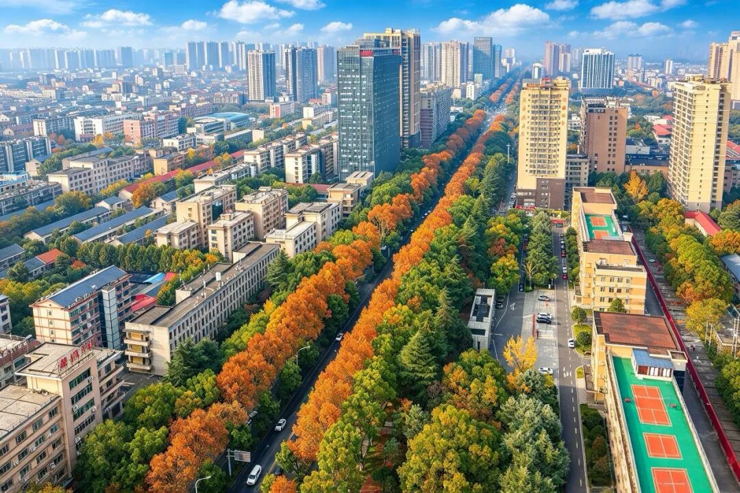 穿行一城街巷 邂逅娄星万般风采