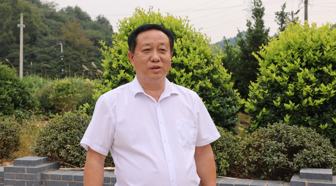 长株潭绿心里的“和美湘村”长啥样?浏阳这两个村给你答案