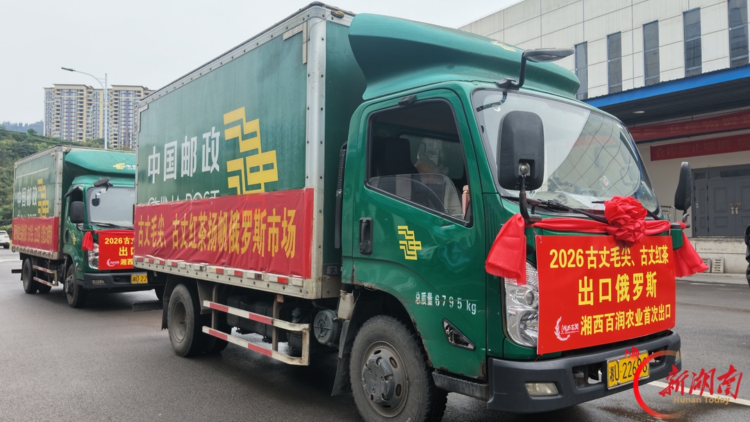 茶香飘向俄罗斯!古丈好茶踏浪闯北疆——湘西首单自主品牌名优茶自营出口,193箱高山茶率先启运