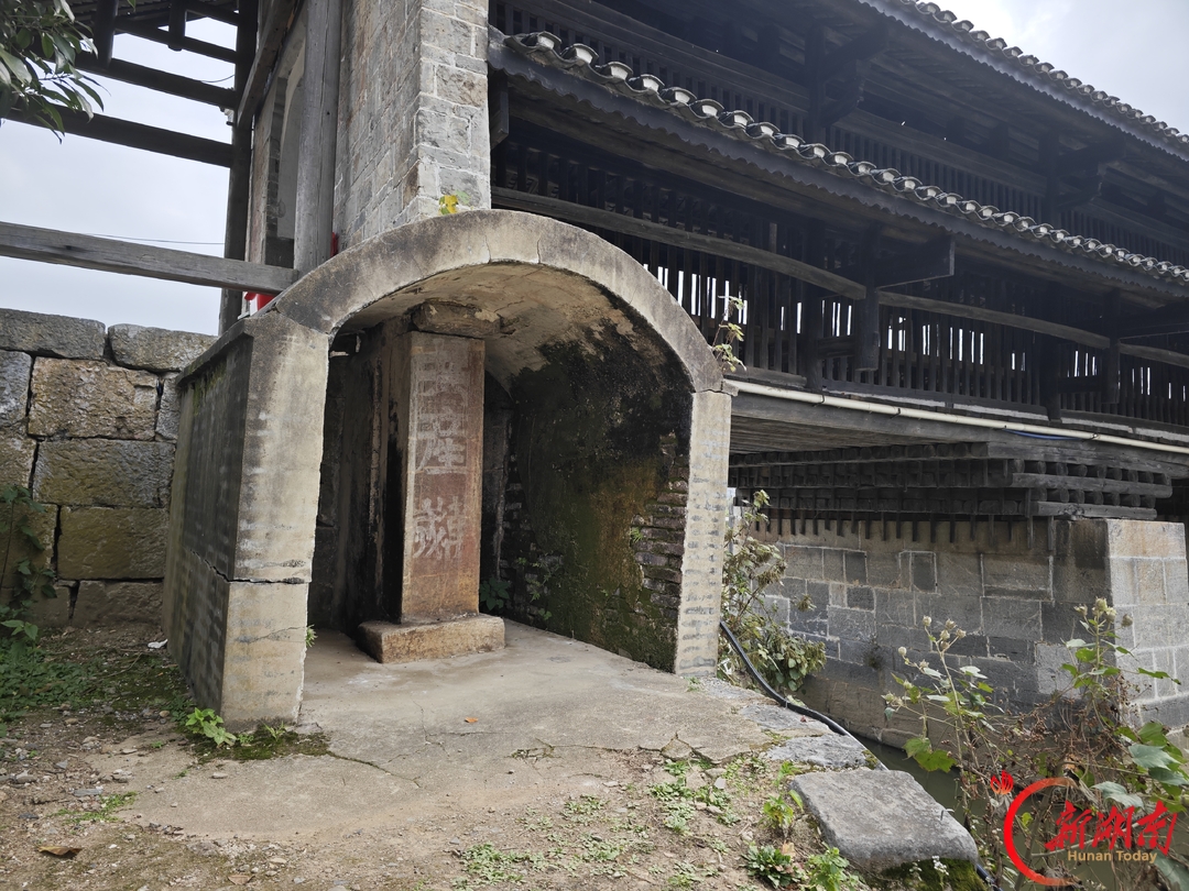 长征胜利九十周年:萝卜坑里长铜钱,木瓜桥畔见初心