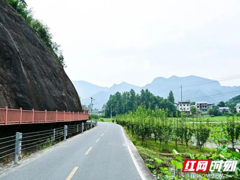 2026年“湖南省最美农村路”“湖南省最具人气路”名单公布!你的“家乡路”上榜了吗