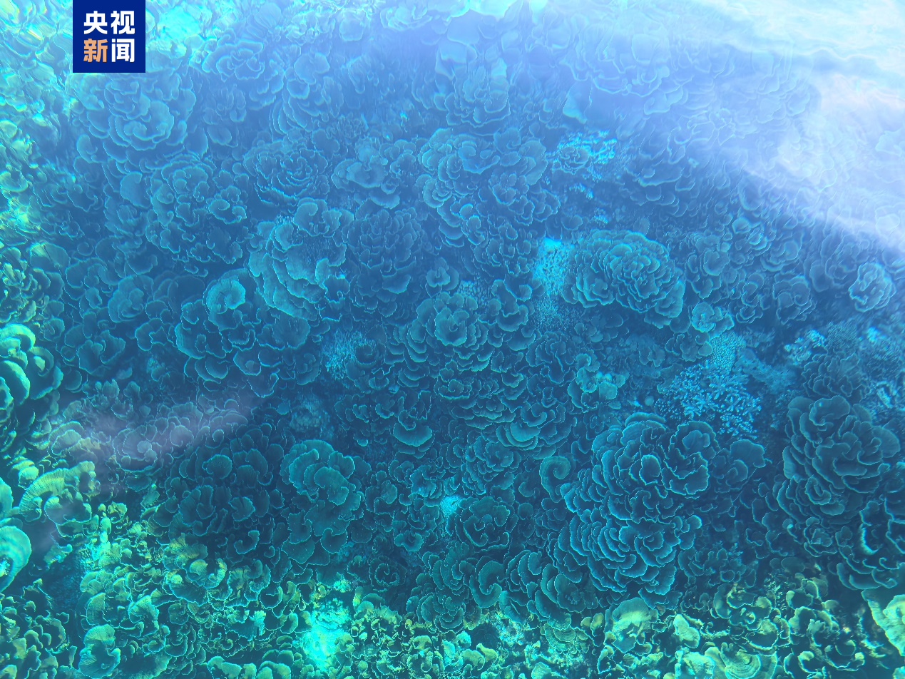 菲律宾非法“坐滩”船只周边海域出现大量垃圾 中国海警组织打捞