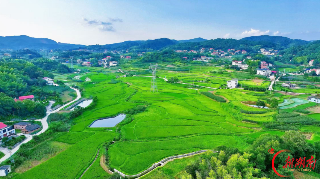 何方家国・娄底地名故事㉔|娄星区蛇形山镇：嘉谟古邑传文脉 乡绘新图向振兴