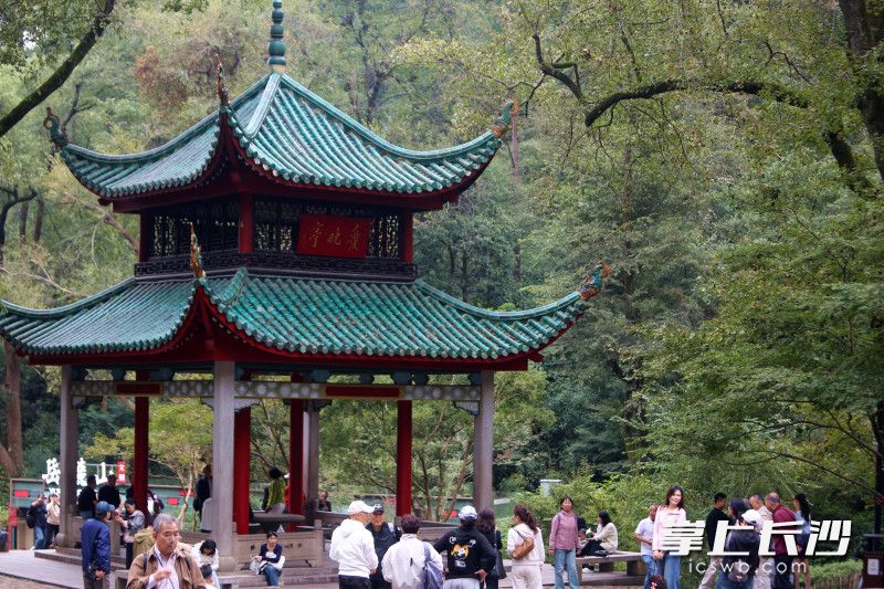 爱晚亭秋色吸引游人纷至沓来|组图