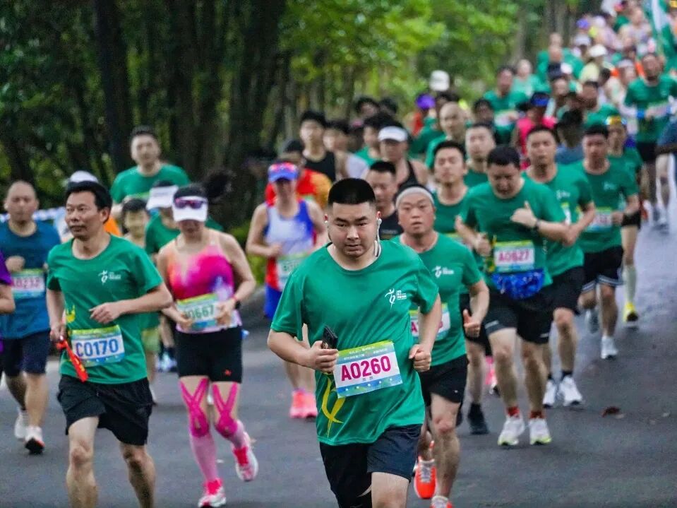 安江半马报名开启,11月22日一起跑进7800年农耕文明