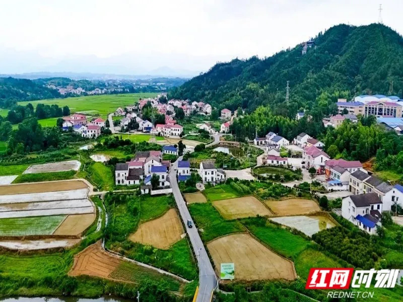 2026年“湖南省最美农村路”“湖南省最具人气路”名单公布!你的“家乡路”上榜了吗