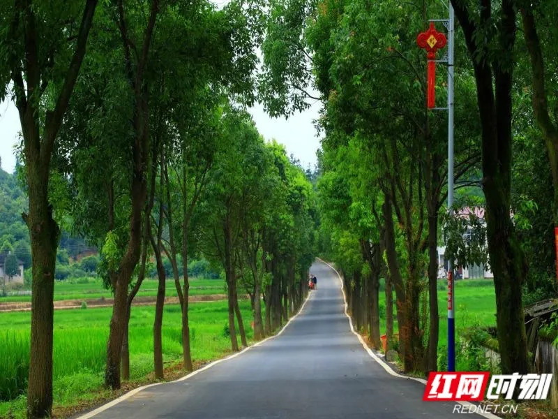2026年“湖南省最美农村路”“湖南省最具人气路”名单公布!你的“家乡路”上榜了吗