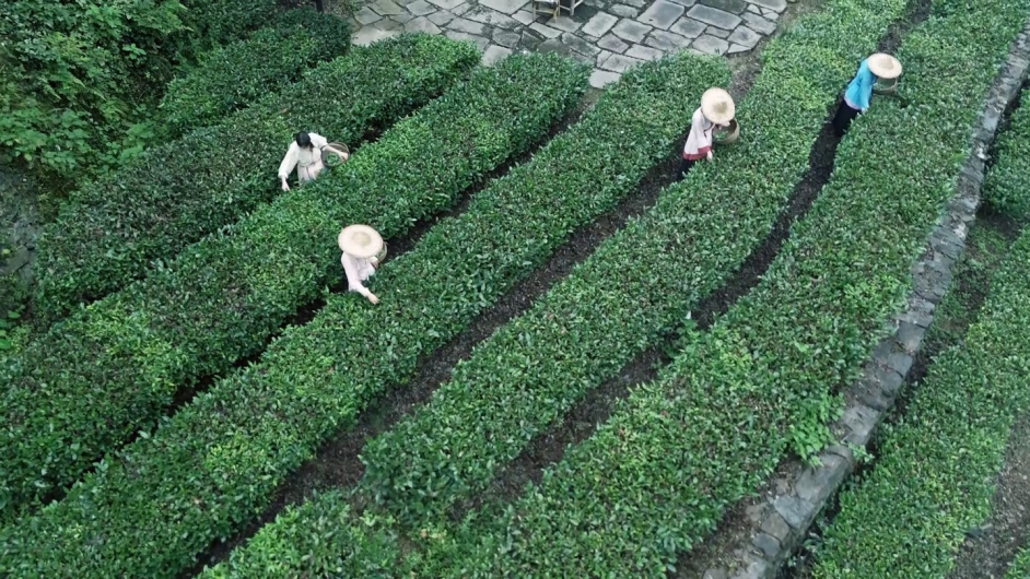 大张家界，真“湘”！