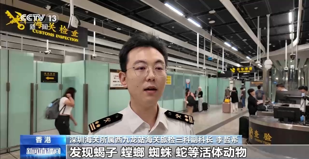 打击走私违法 西九龙站口岸截获有毒“异宠”398只