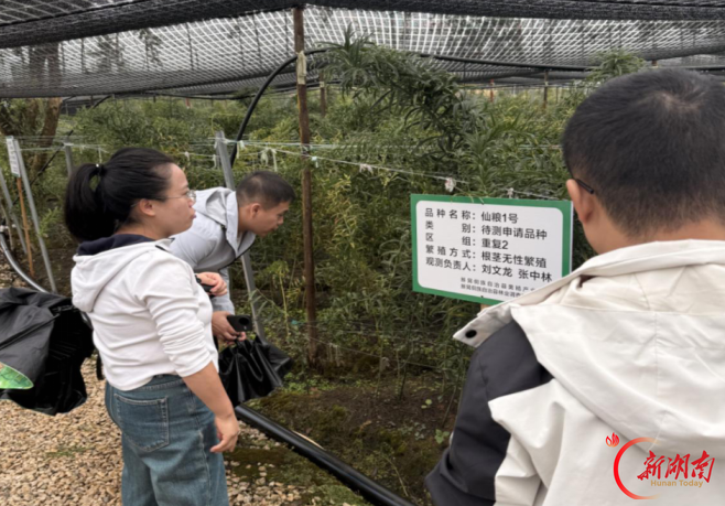 新晃侗族自治县税务局:税助农企解难题,党员服务到田间