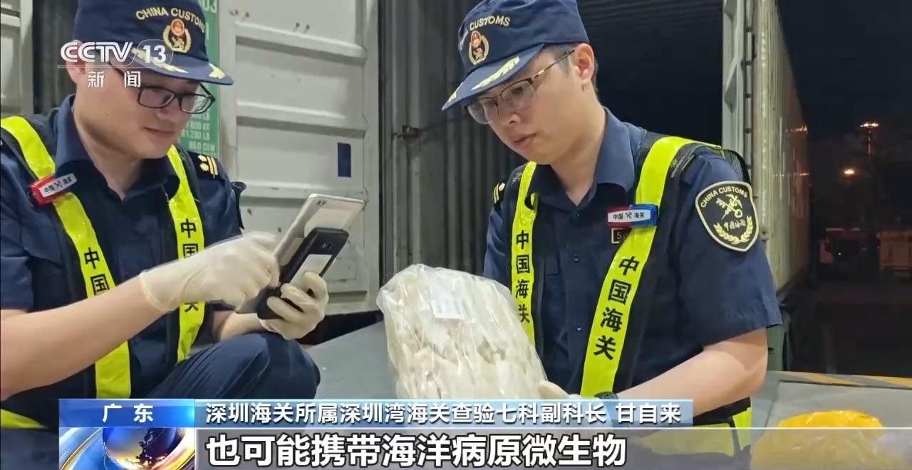 打击走私违法 西九龙站口岸截获有毒“异宠”398只