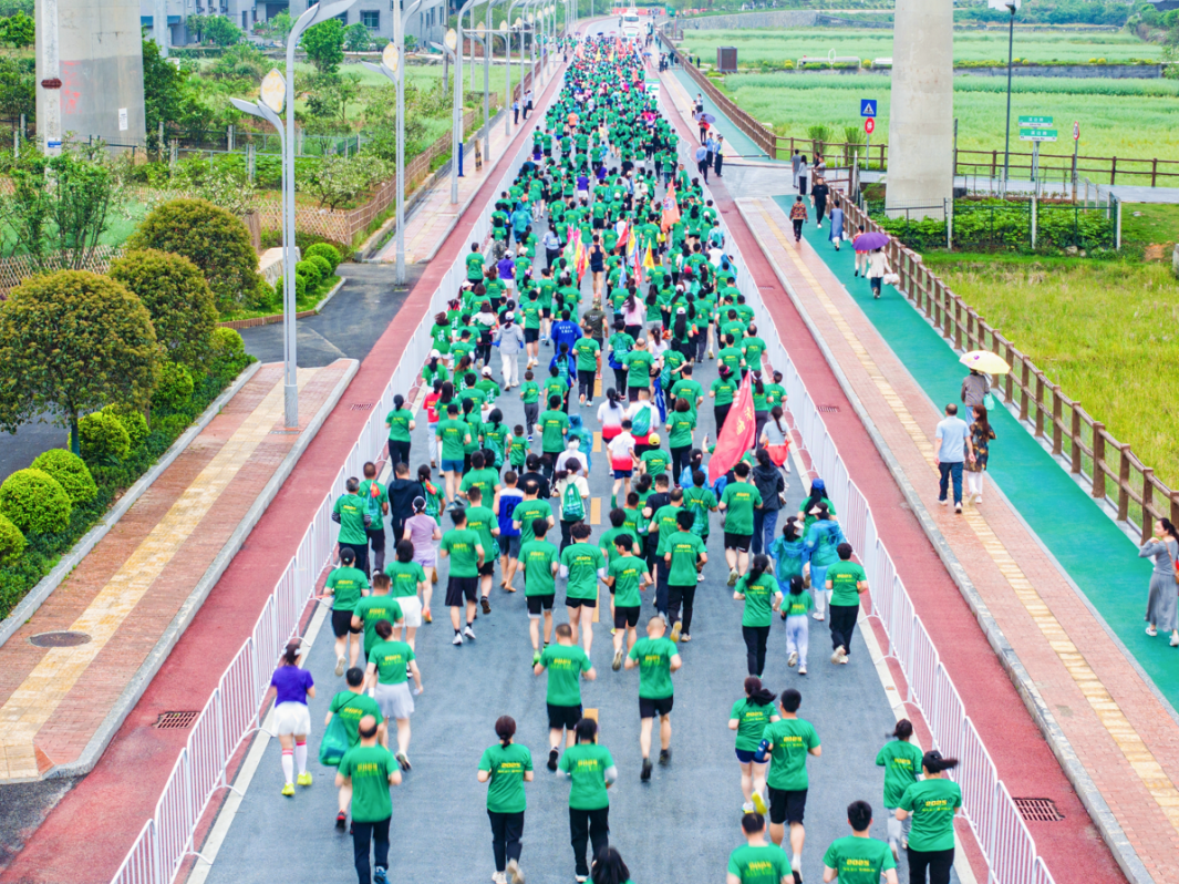 安江半马报名开启,11月22日一起跑进7800年农耕文明