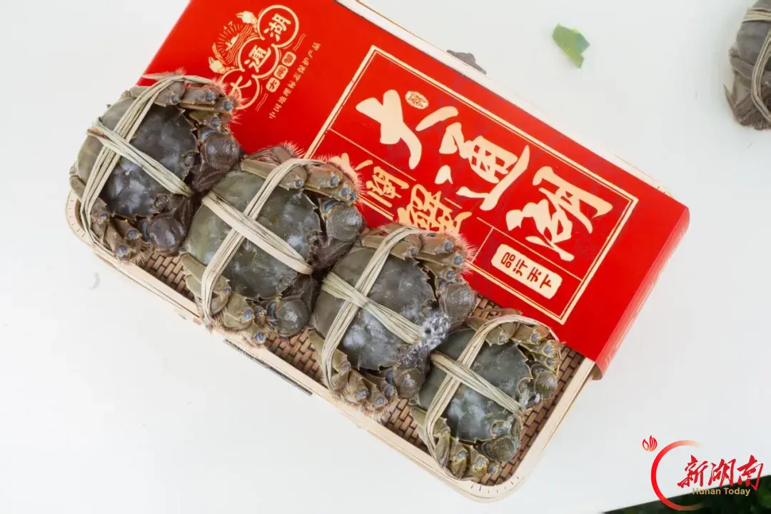 湖南日报市州头条|大通湖大闸蟹“爬”上香港餐桌 今年成蟹产量可稳定在2000吨，综合产值预计超9亿元