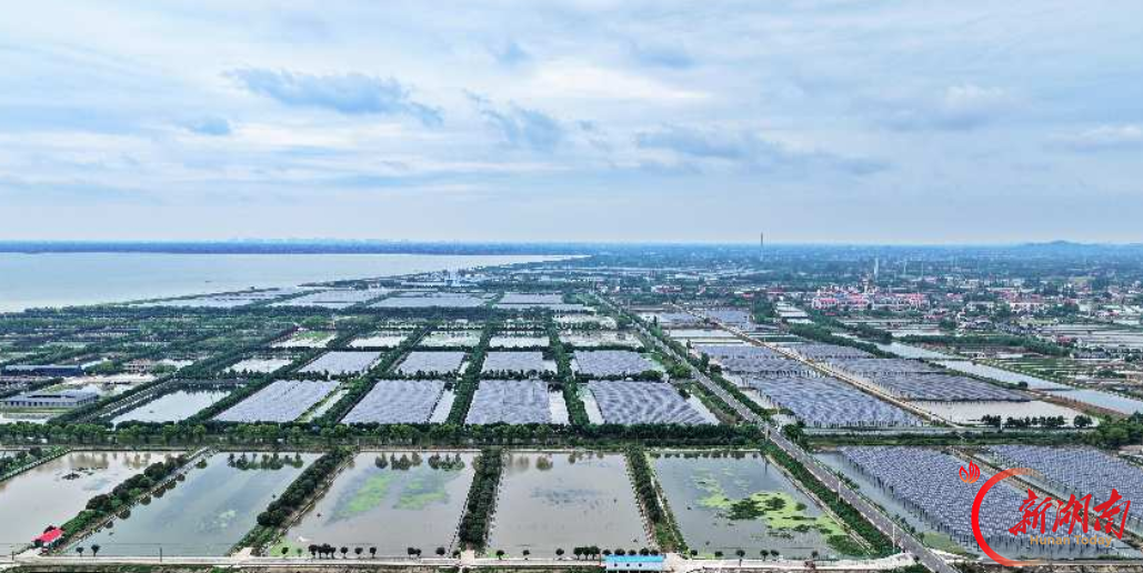 湖南日报市州头条|大通湖大闸蟹“爬”上香港餐桌 今年成蟹产量可稳定在2000吨，综合产值预计超9亿元