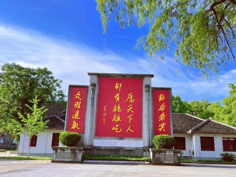 安江半马报名开启,11月22日一起跑进7800年农耕文明