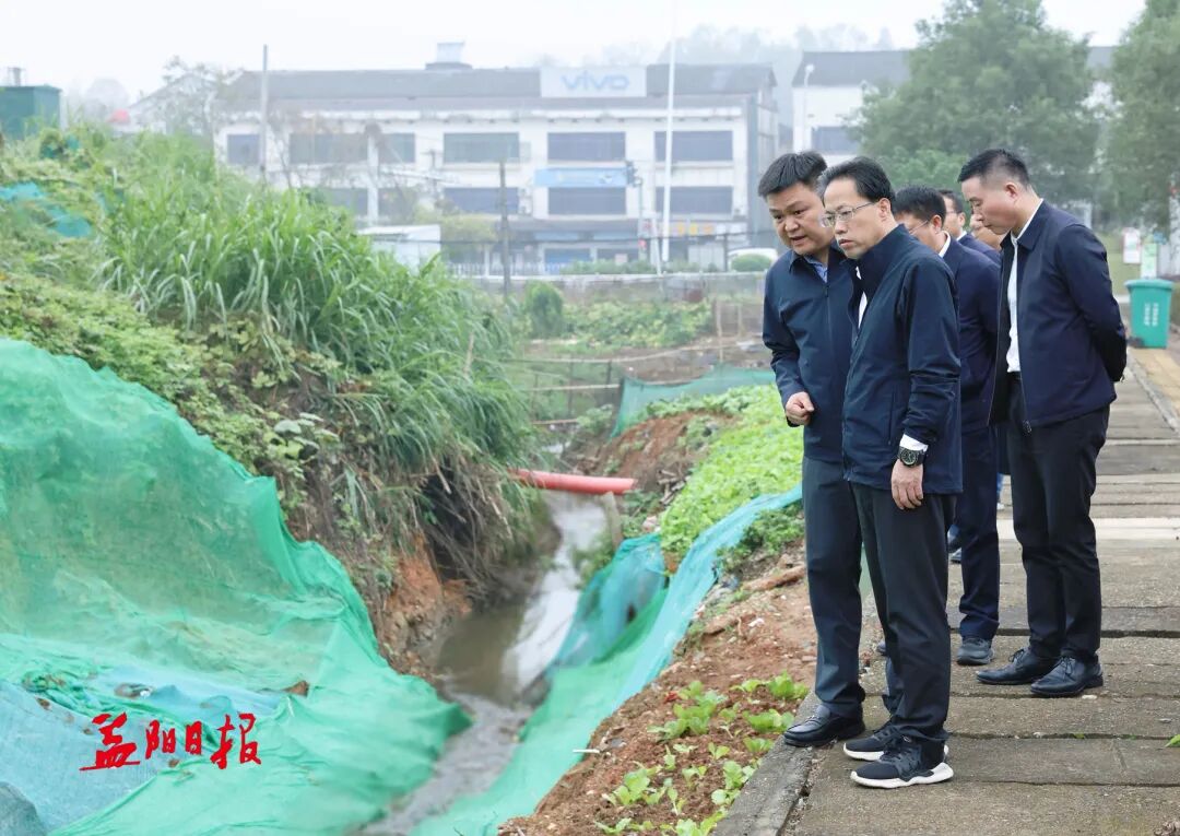 向世聪调研黑臭水体整治工作