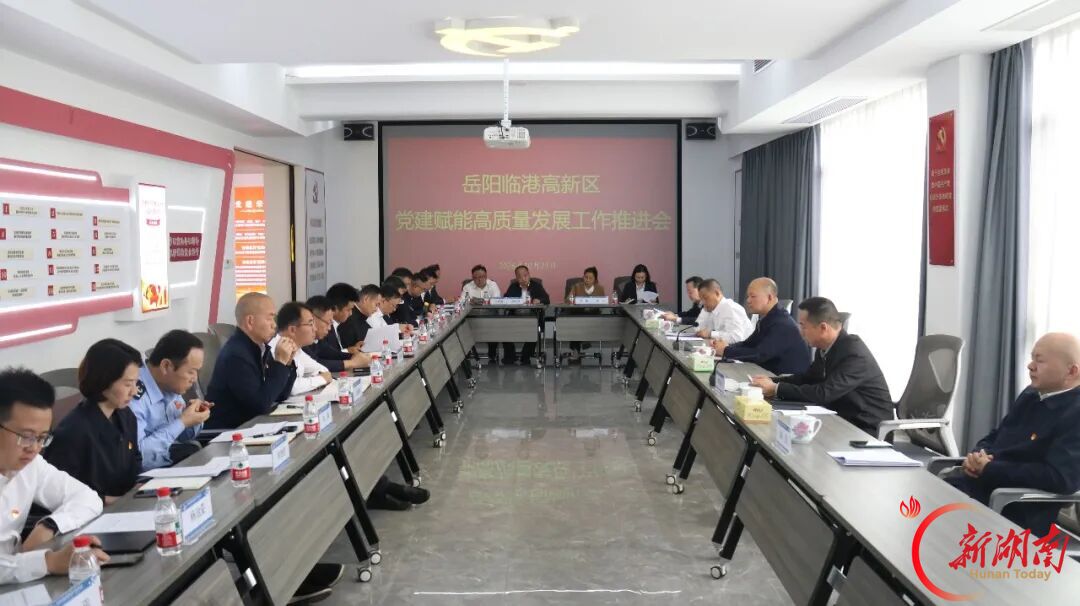 岳阳临港高新区召开党建赋能高质量发展工作推进会