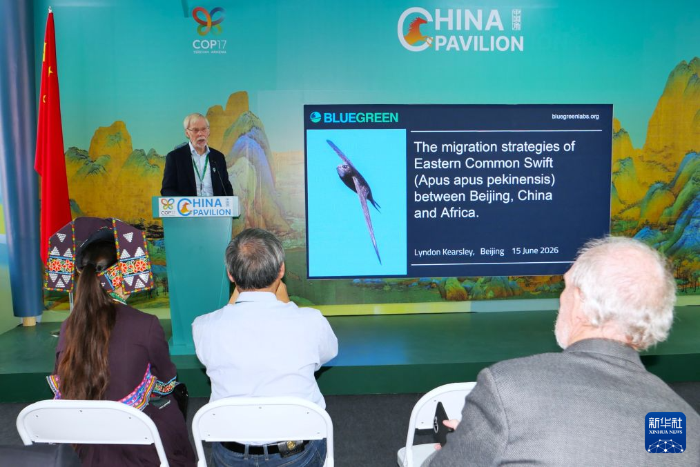 在COP17中国角读懂候鸟保护的跨国属性