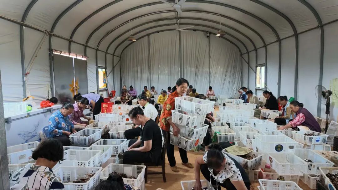特稿丨我们的长征，永续鱼水深情
