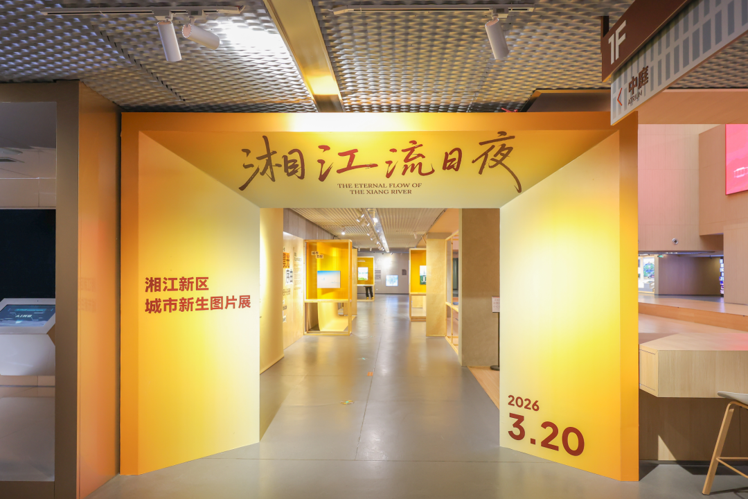 湘江新区的秋日雅集,藏着一座城市的人文底色