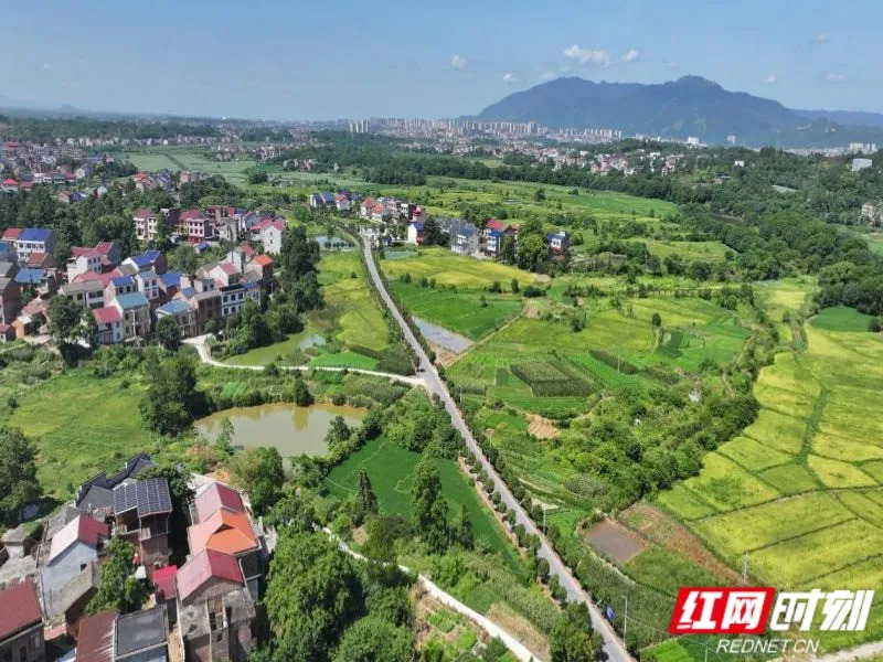 2026年“湖南省最美农村路”“湖南省最具人气路”名单公布!你的“家乡路”上榜了吗